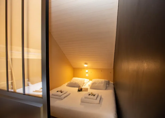Les Barrats - Duplex - - Vue Mont-blanc